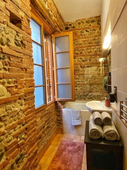 Cocon Cosy Dans La Rose Apartment Toulouse