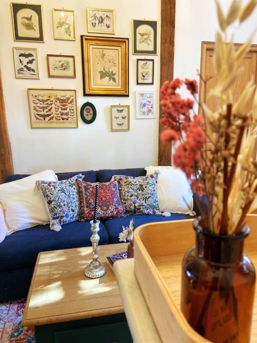 Apartment Cocon Cosy Dans La Rose