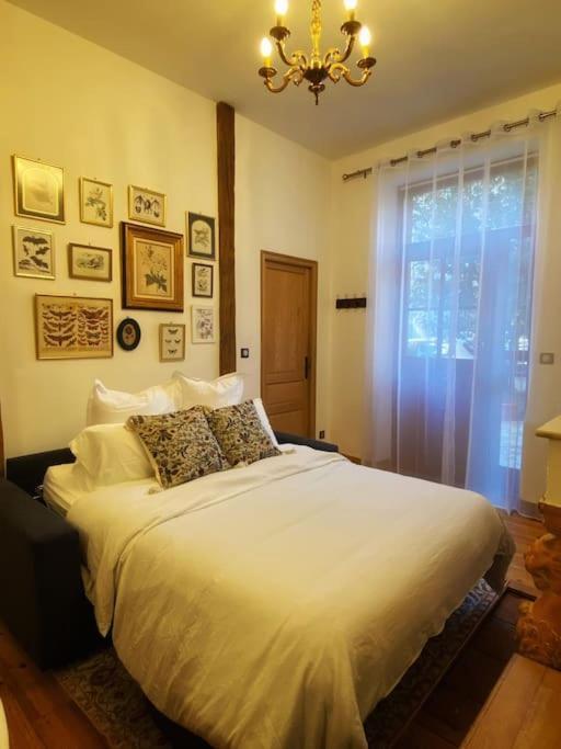 Cocon Cosy Dans La Rose Toulouse