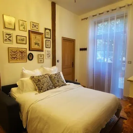 Cocon Cosy Dans La Ville Rose Toulouse Exterior photo