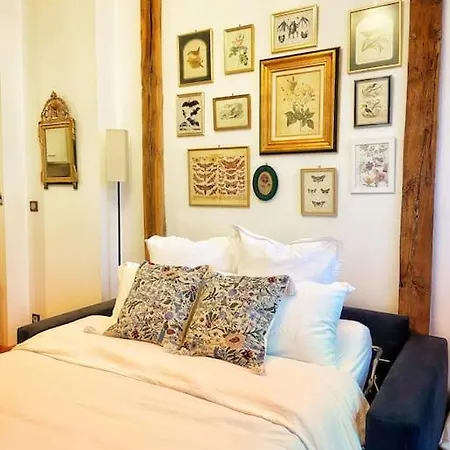 Cocon Cosy Dans La Ville Rose Toulouse Exterior photo
